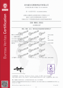ISO 9001:2008